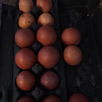 The Dreamy Dozen - create your own