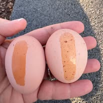 The Dreamy Dozen - create your own