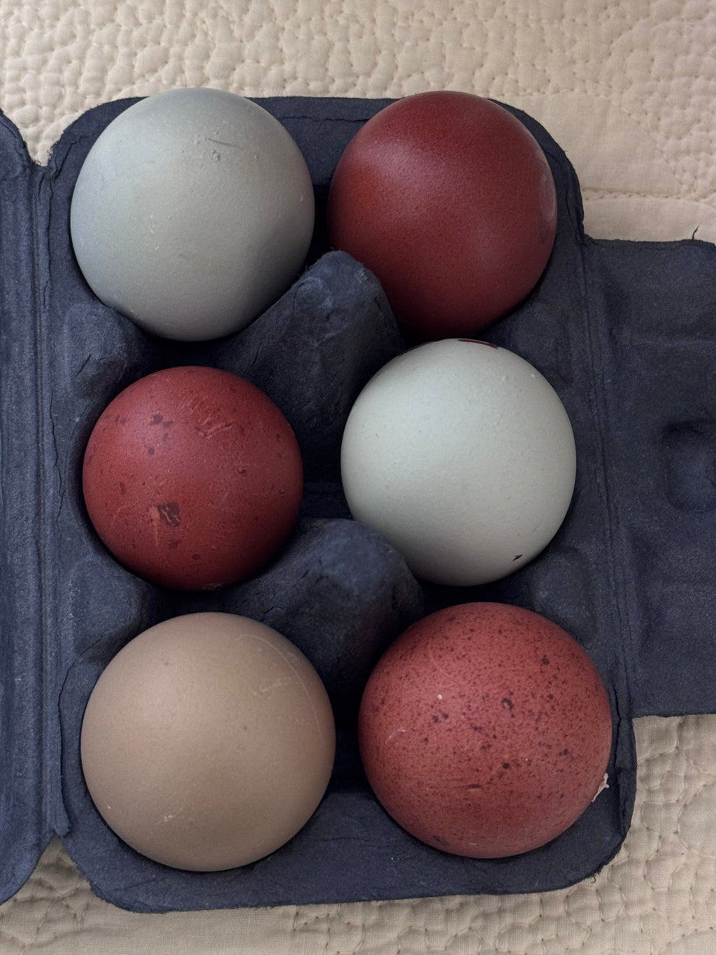 The Hoosier Harvest Dozen - Hatching Eggs