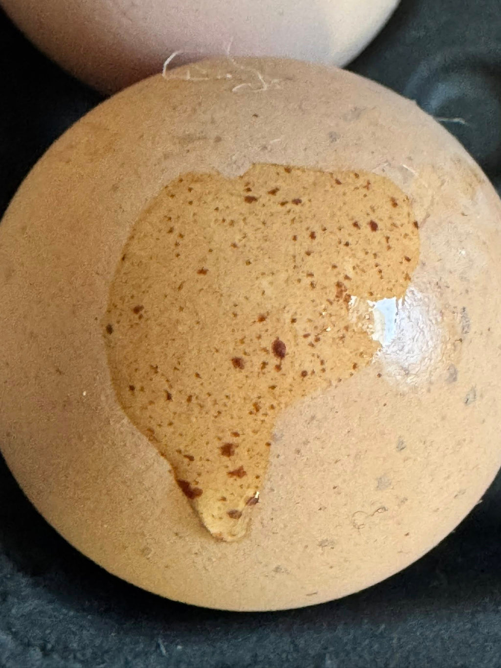 The Multigenerational Olive Eggers - Hatching eggs