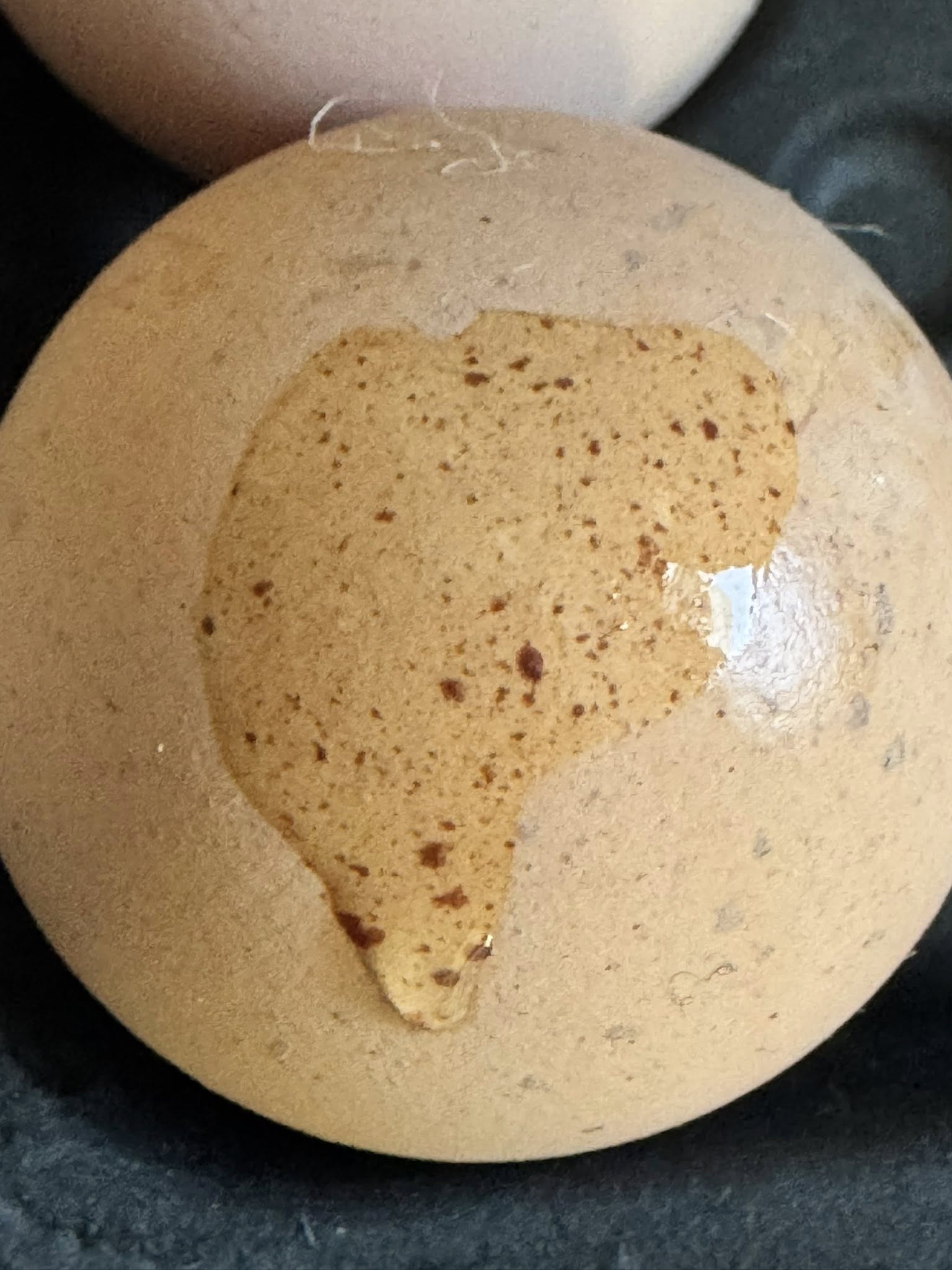 The Autosexing Olive Egger